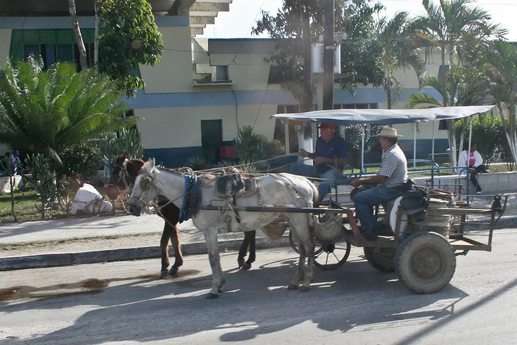 03-Horse carriage.jpg - Horse carriage